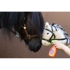 Środek do czyszczenia i pielęgnacji Hobby Horse 250 ml - EQUI+Natura
